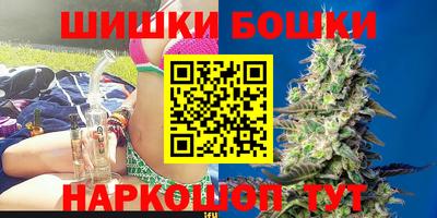 тгк Кингисепп
