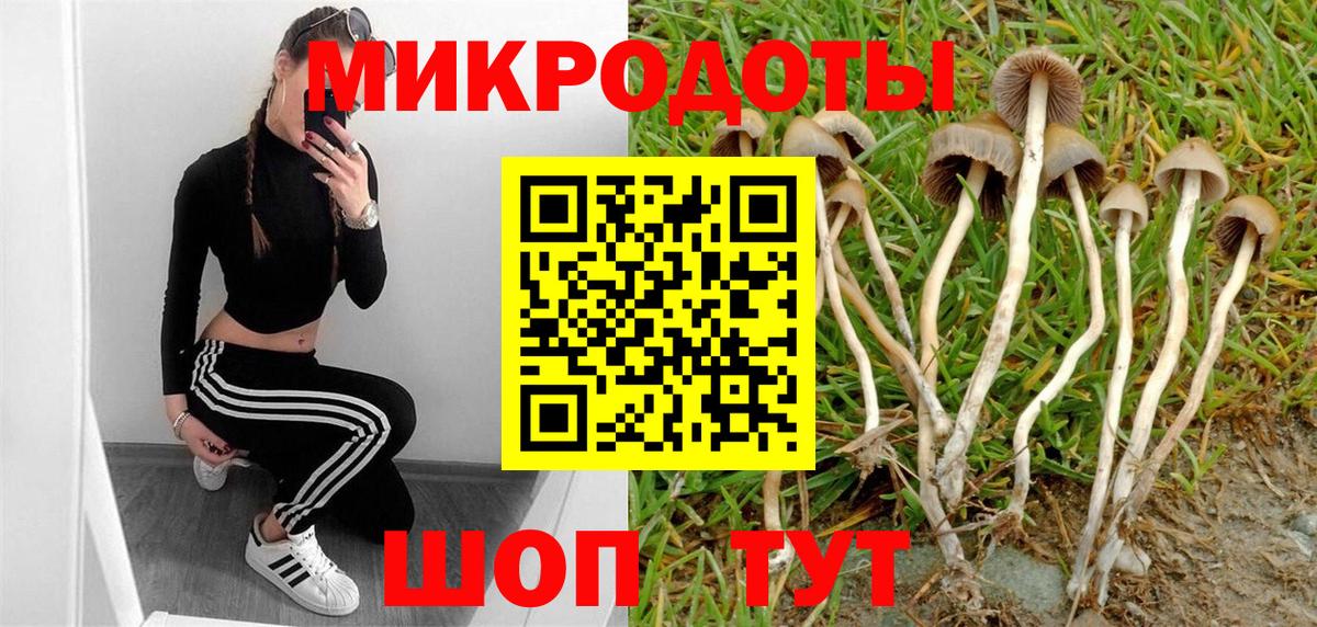 Псилоцибиновые грибы Magic Shrooms Комсомольск-на-Амуре